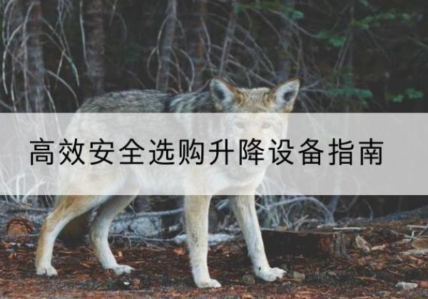 巴彦淖尔升降货梯厂家推荐-*安全选购升降设备指南