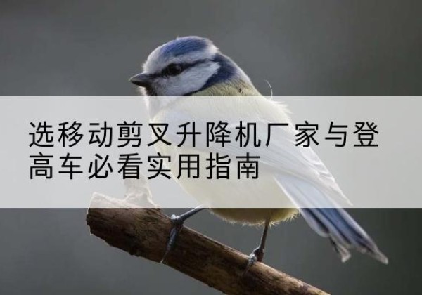 巴彦淖尔电动升降机厂家-选移动剪叉升降机厂家与登高车必看实用指南