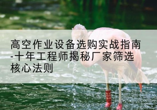 巴彦淖尔剪叉式升降机厂家-高空作业设备选购实战指南-十年工程师揭秘厂家筛选核心法则